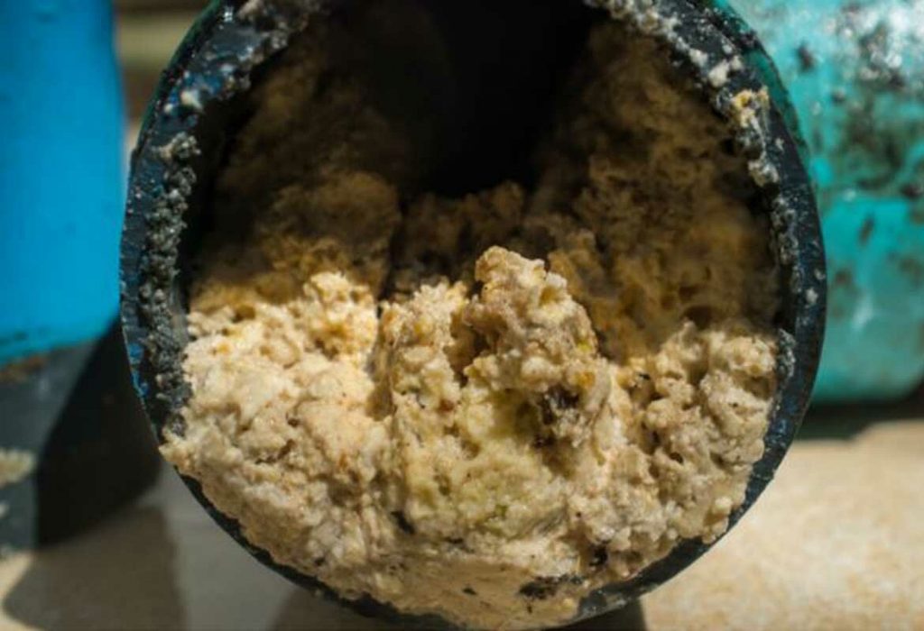 Build up of fats, oils, grease, and solid waste inside the pipe.  