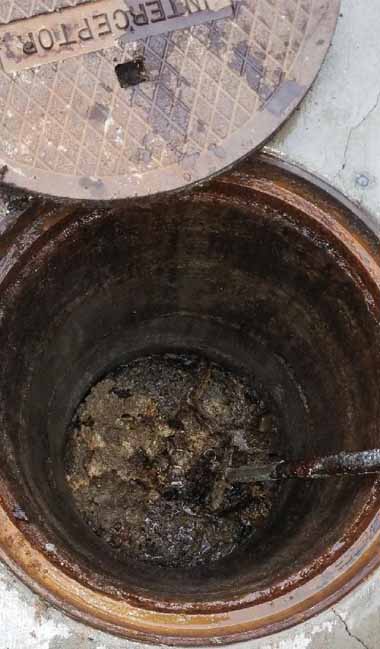 Grease Trap Waste Removal Service