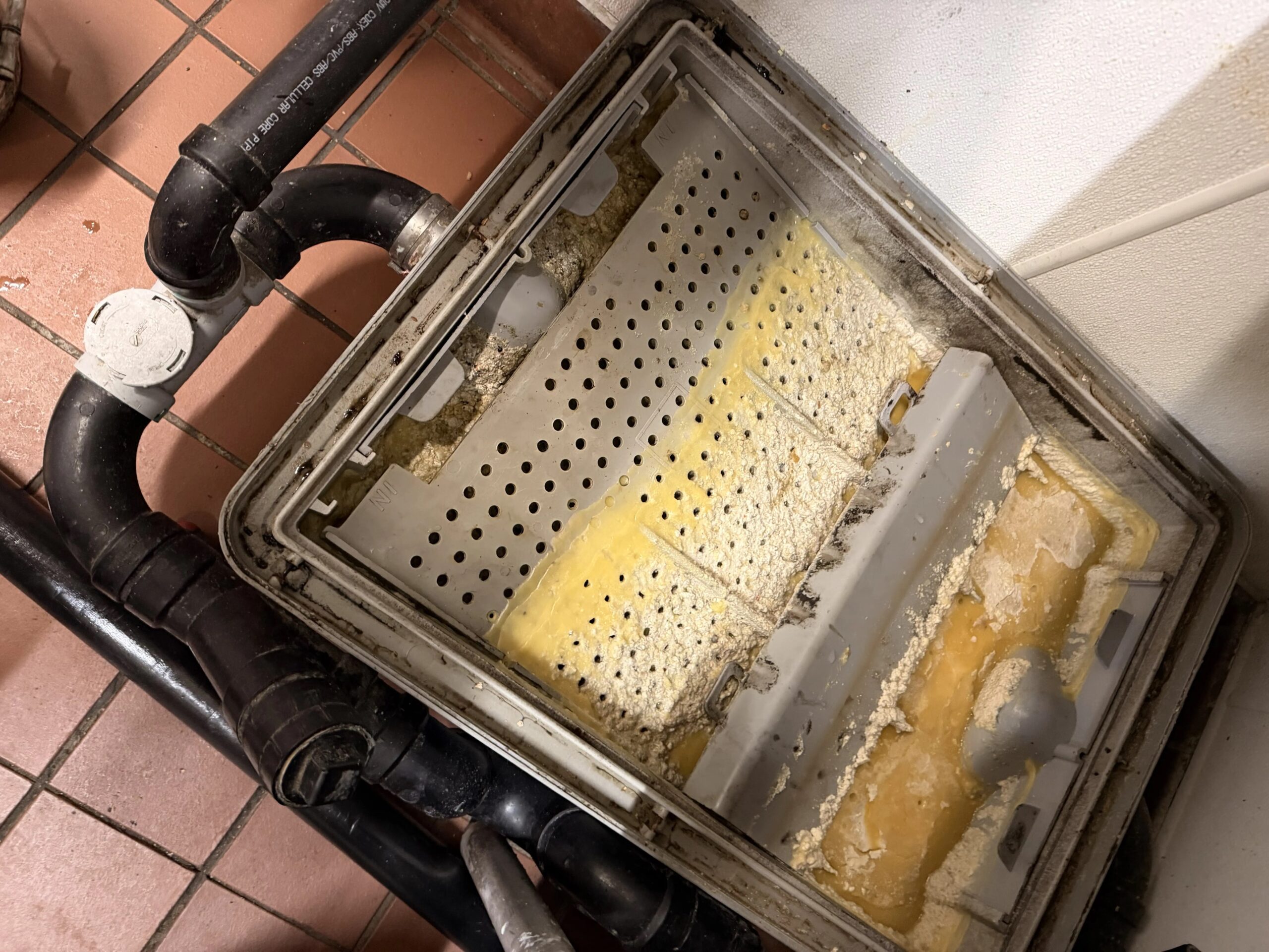 Commercial grease trap pumping and cleaning operation removing waste from restaurant grease system