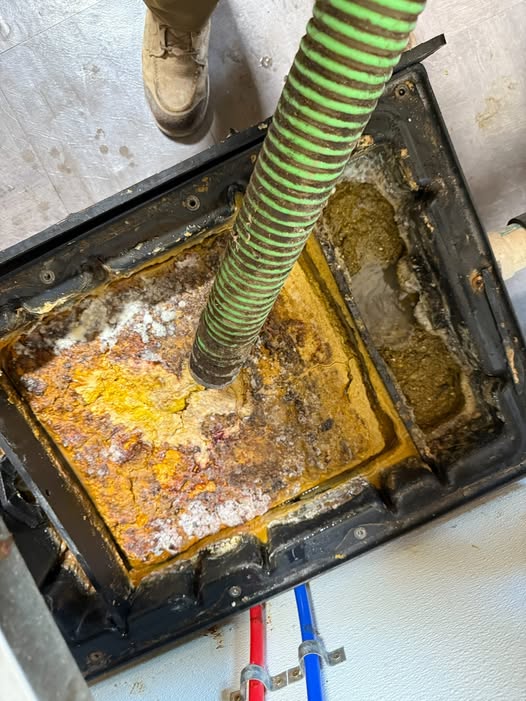 Professional grease trap odor control service removing grease, sludge, food waste, and sewer-like smells from a commercial kitchen grease trap.