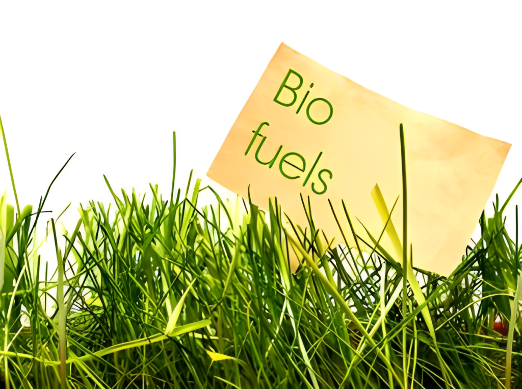 Biodiesel as an alternative to petroleum-based fossil fuel